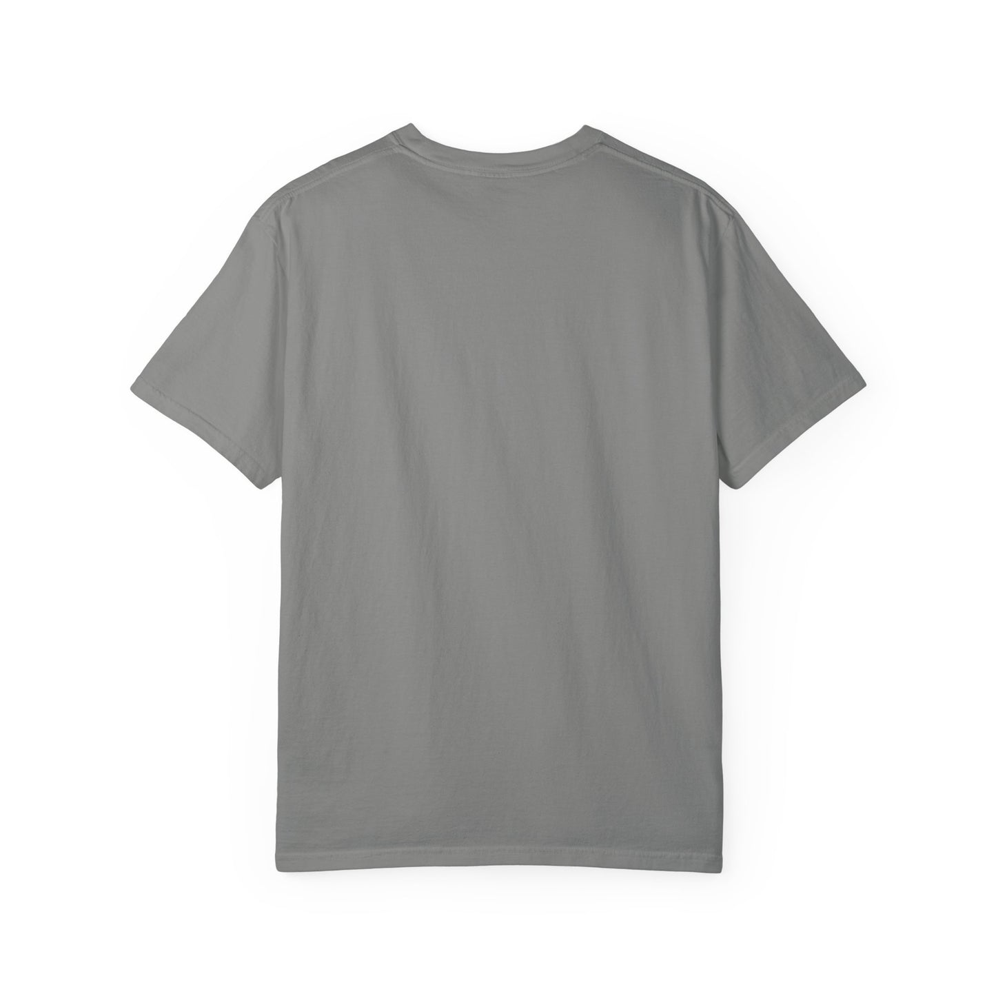 King of Kings Unisex Garment-Dyed T-shirt